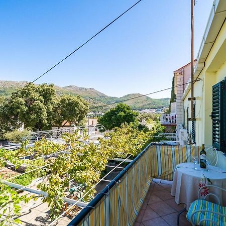 Apartments Lidija Zaton (Dubrovnik-Neretva) Exterior foto